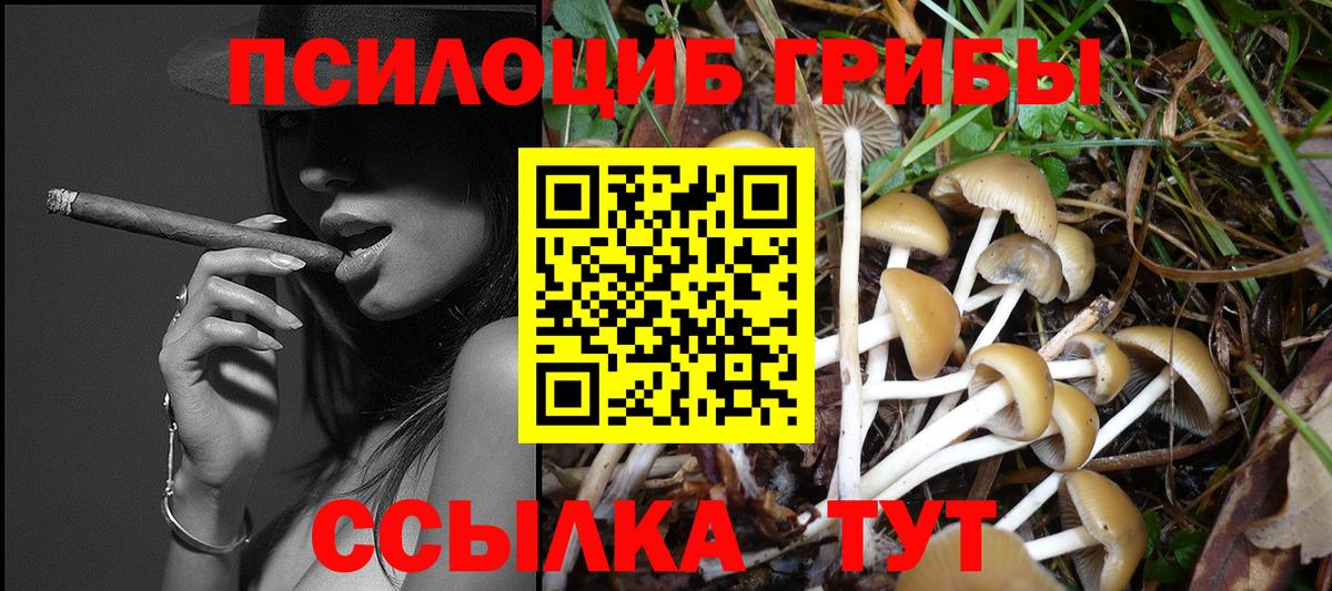 цена наркотик  Вход с VPN  Псилоцибиновые грибы GOLDEN TEACHER  Солнечногорск  Галлюциногенные грибы Psilocybine cubensis 